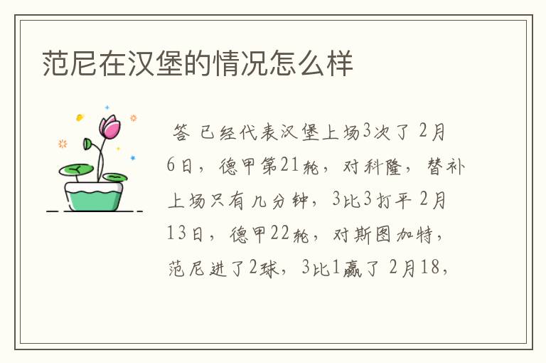 范尼在汉堡的情况怎么样