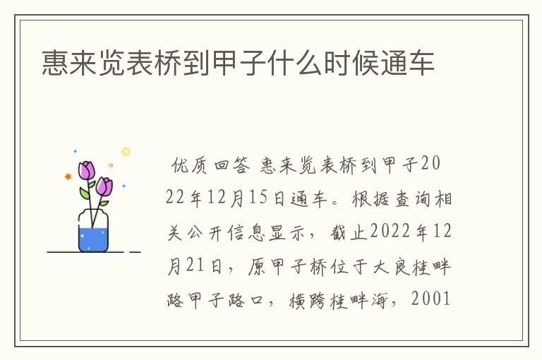 惠来览表桥到甲子什么时候通车