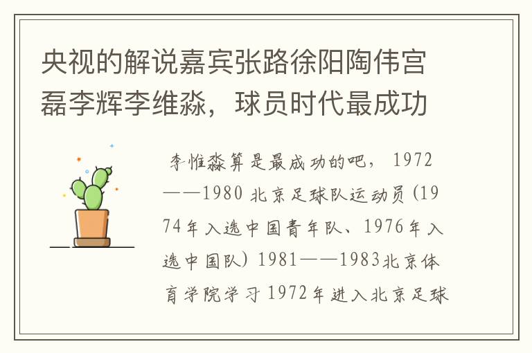 央视的解说嘉宾张路徐阳陶伟宫磊李辉李维淼,球员时代最成功的是谁?他们都是北京人吗?