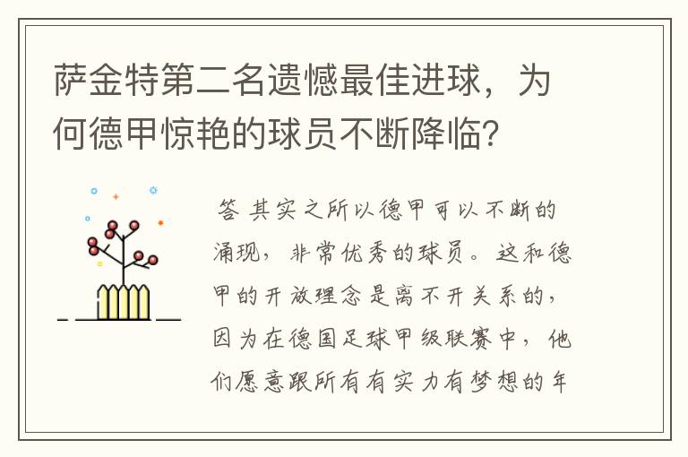 萨金特第二名遗憾最佳进球,为何德甲惊艳的球员不断降临?