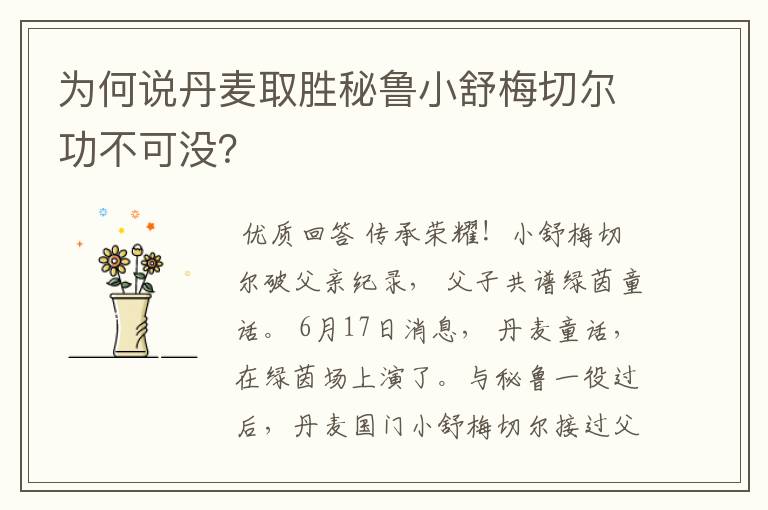 为何说丹麦取胜秘鲁小舒梅切尔功不可没?
