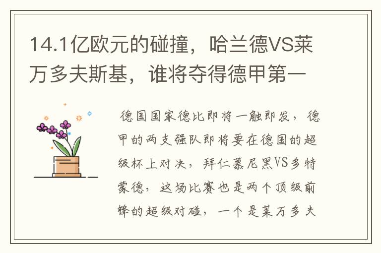 14.1亿欧元的碰撞,哈兰德VS莱万多夫斯基,谁将夺得德甲第一冠