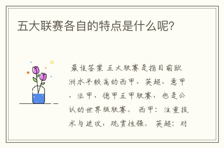 五大联赛各自的特点是什么呢?