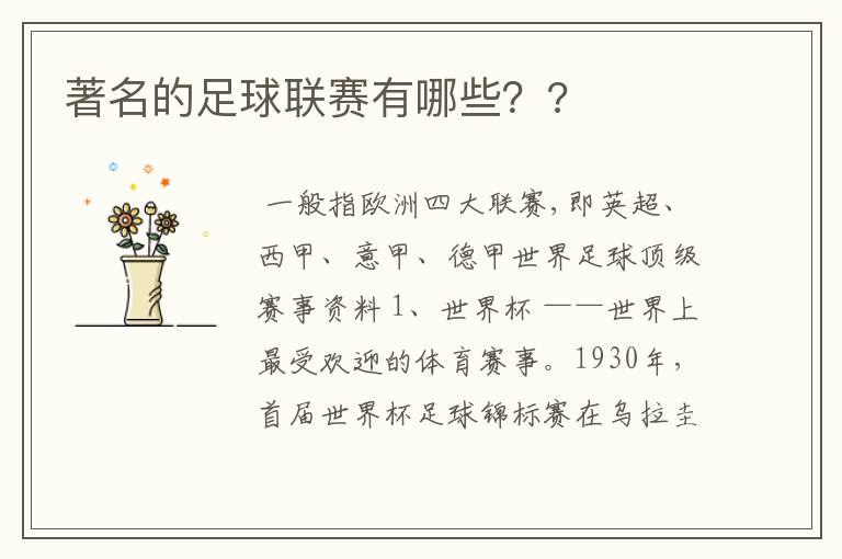 著名的足球联赛有哪些??