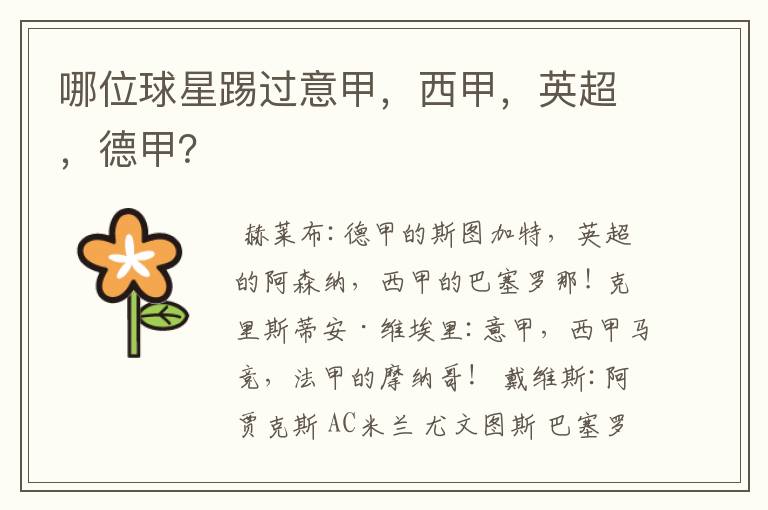 哪位球星踢过意甲,西甲,英超,德甲?