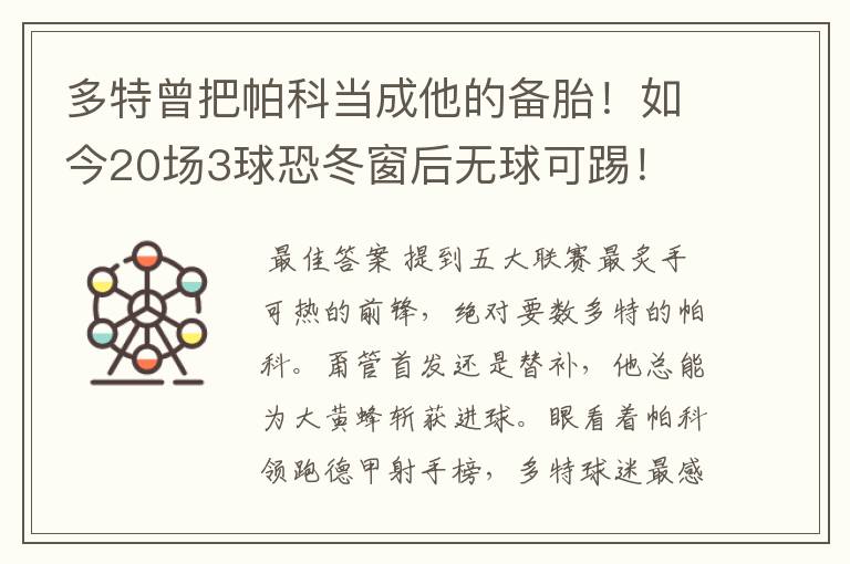 多特曾把帕科当成他的备胎!如今20场3球恐冬窗后无球可踢!