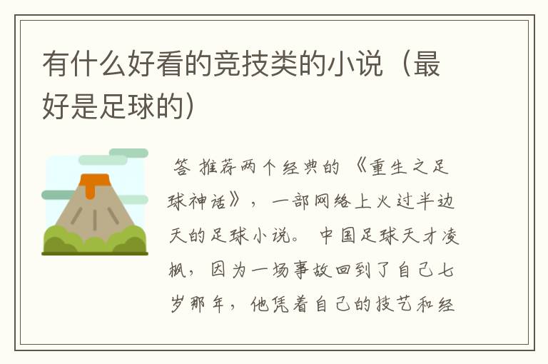 有什么好看的竞技类的小说(最好是足球的)
