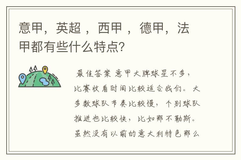 意甲,英超 ,西甲 ,德甲,法甲都有些什么特点?