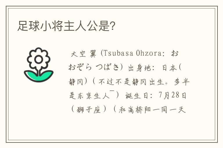 足球小将主人公是?