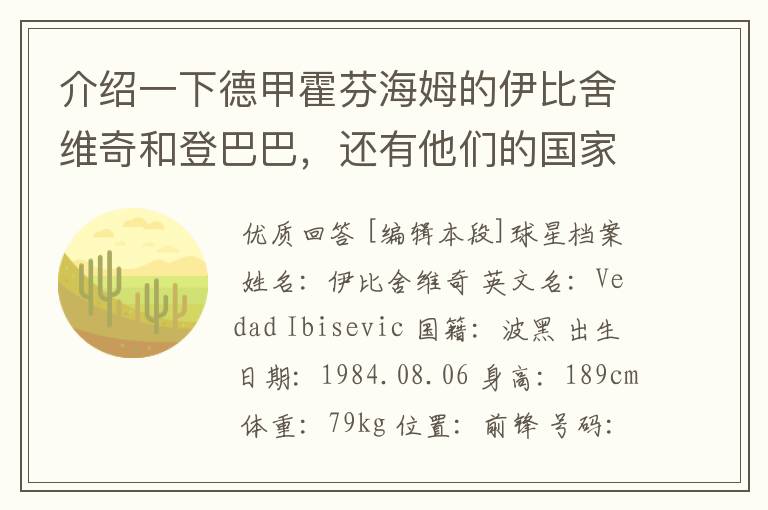 介绍一下德甲霍芬海姆的伊比舍维奇和登巴巴,还有他们的国家队履历