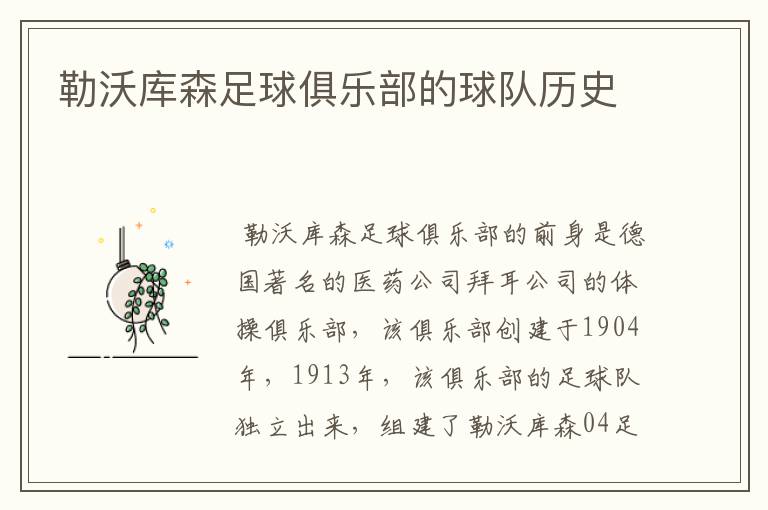 勒沃库森足球俱乐部的球队历史