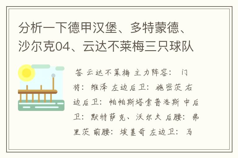分析一下德甲汉堡、多特蒙德、沙尔克04、云达不莱梅三只球队的人员打法和阵型