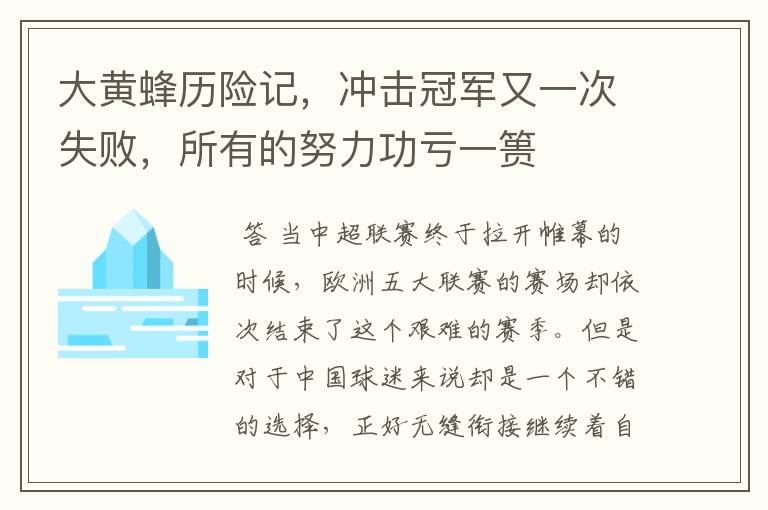 大黄蜂历险记,冲击冠军又一次失败,所有的努力功亏一篑
