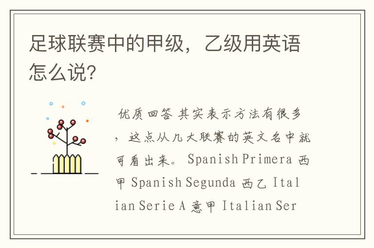 足球联赛中的甲级,乙级用英语怎么说?
