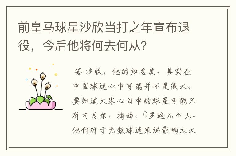 前皇马球星沙欣当打之年宣布退役,今后他将何去何从?