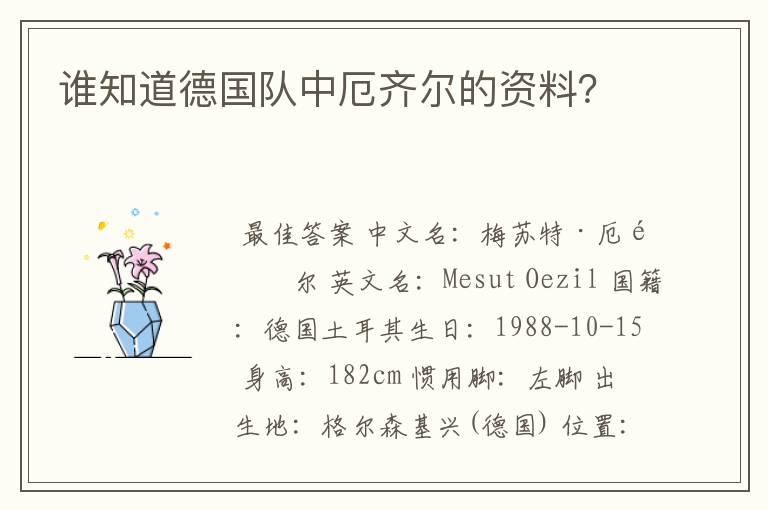 谁知道德国队中厄齐尔的资料?