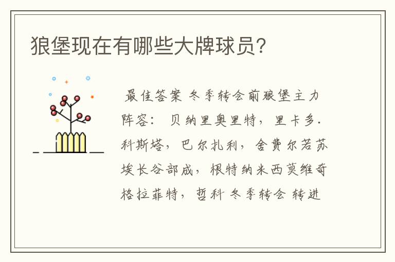 狼堡现在有哪些大牌球员?