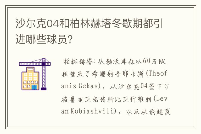 沙尔克04和柏林赫塔冬歇期都引进哪些球员?