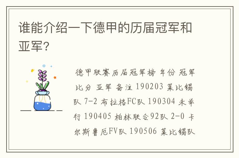 谁能介绍一下德甲的历届冠军和亚军?