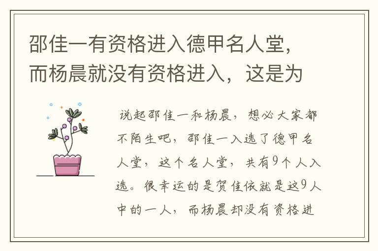 邵佳一有资格进入德甲名人堂,而杨晨就没有资格进入,这是为何?