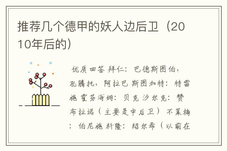 推荐几个德甲的妖人边后卫(2010年后的)