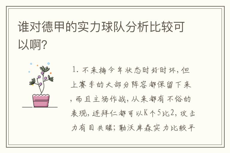 谁对德甲的实力球队分析比较可以啊?