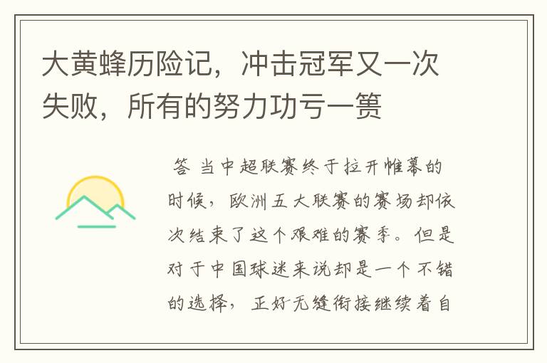 大黄蜂历险记,冲击冠军又一次失败,所有的努力功亏一篑