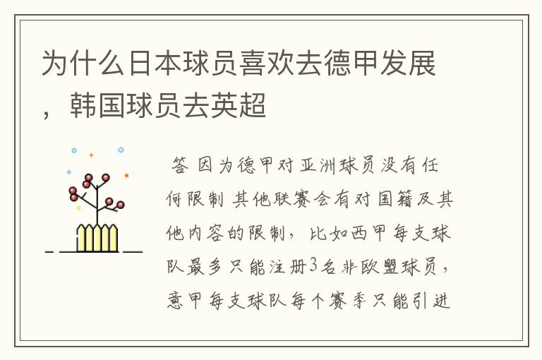 为什么日本球员喜欢去德甲发展,韩国球员去英超