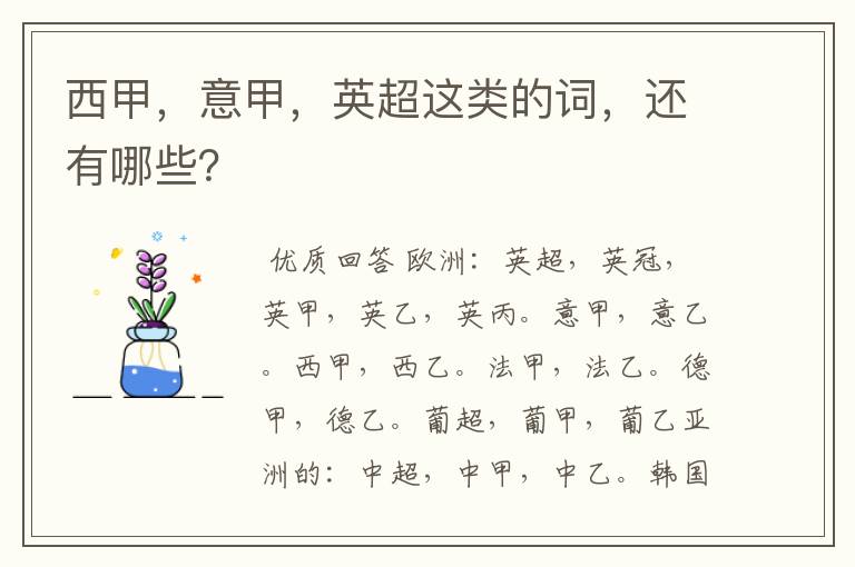 西甲,意甲,英超这类的词,还有哪些?