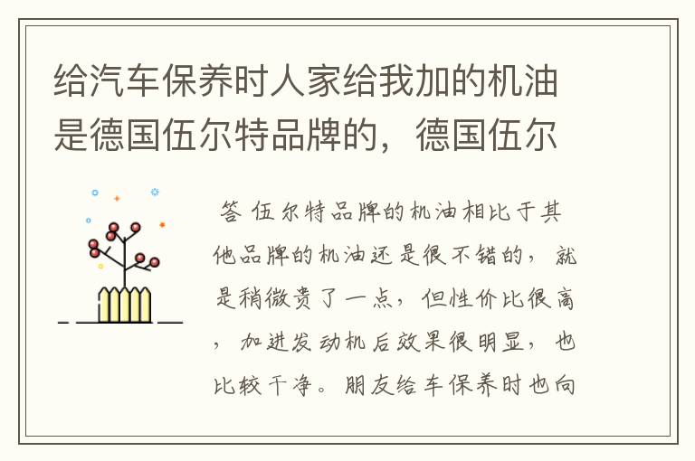 给汽车保养时人家给我加的机油是德国伍尔特品牌的,德国伍尔特怎么样啊?