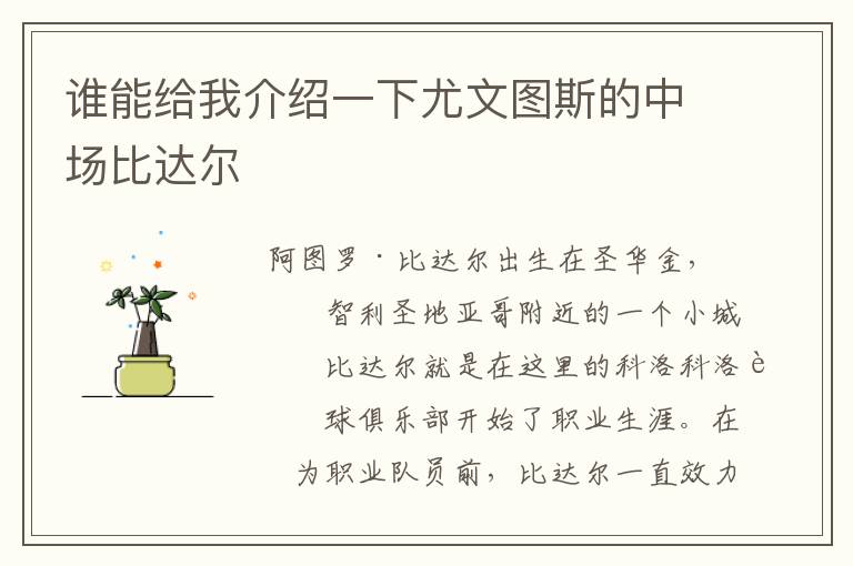 谁能给我介绍一下尤文图斯的中场比达尔