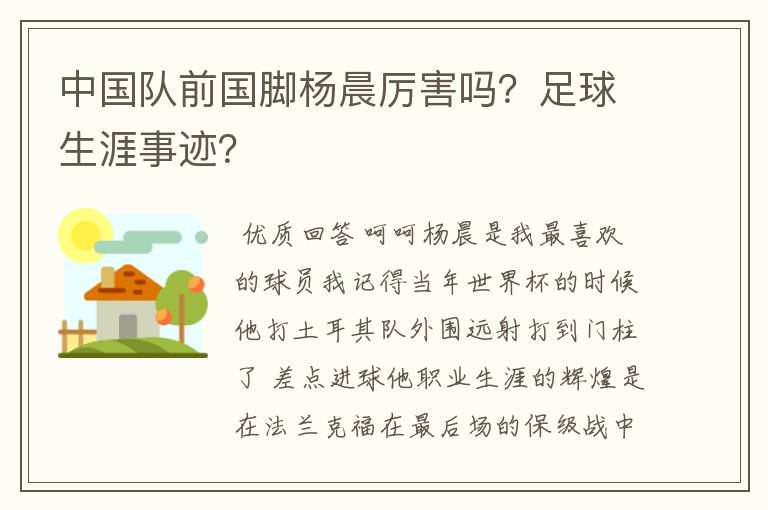 中国队前国脚杨晨厉害吗?足球生涯事迹?