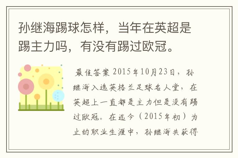 孙继海踢球怎样,当年在英超是踢主力吗,有没有踢过欧冠。