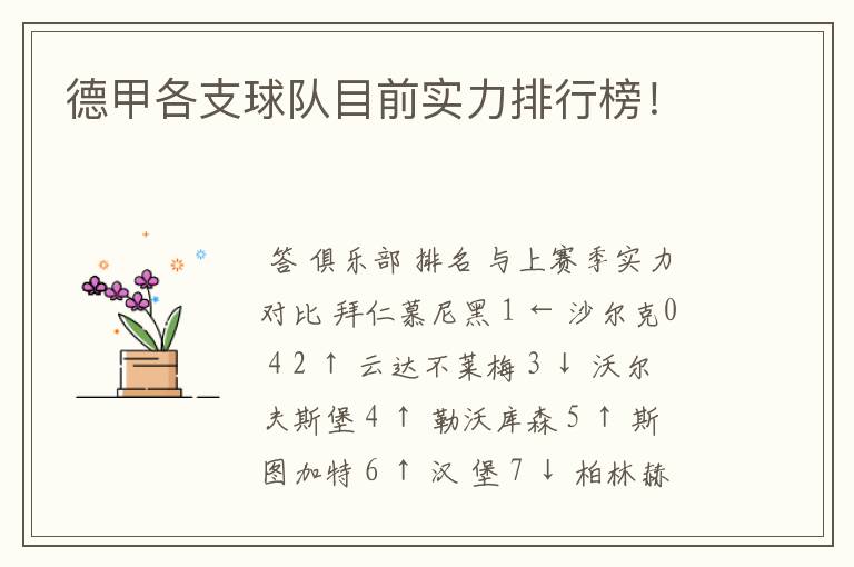 德甲各支球队目前实力排行榜!