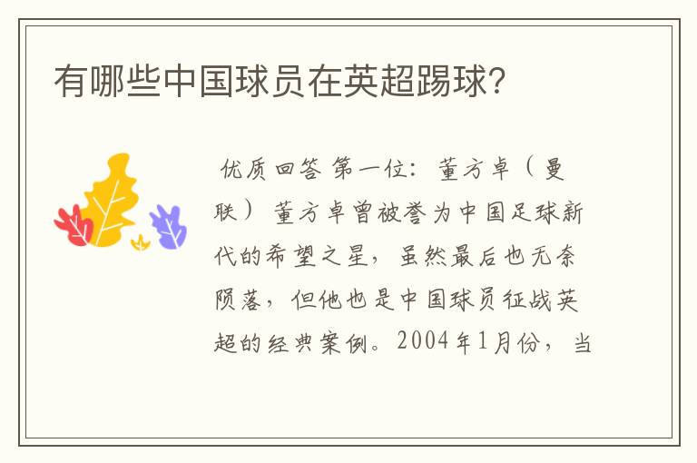 有哪些中国球员在英超踢球?