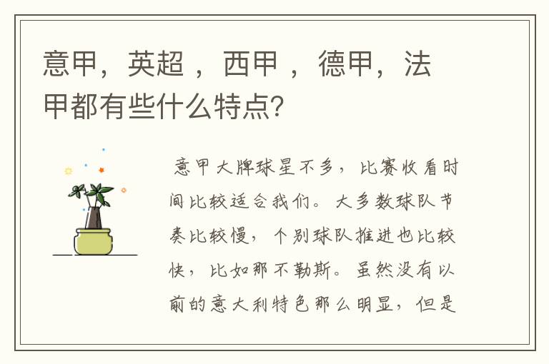 意甲,英超 ,西甲 ,德甲,法甲都有些什么特点?
