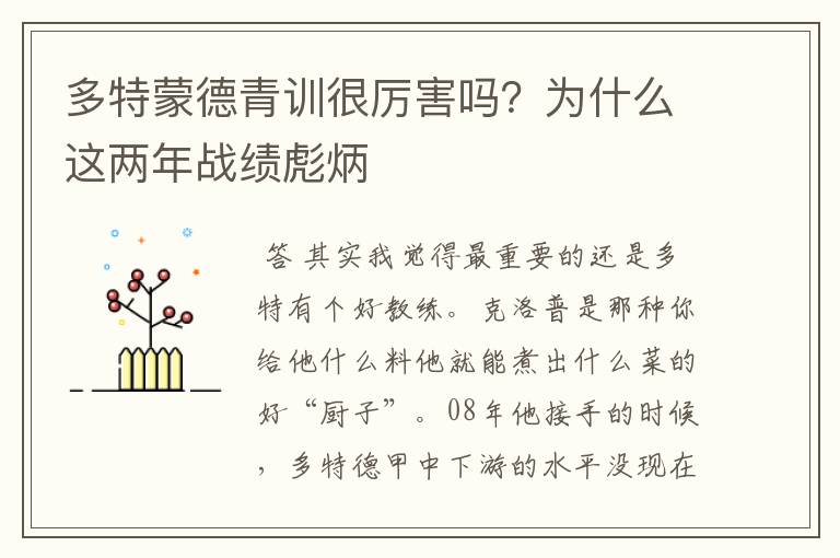 多特蒙德青训很厉害吗?为什么这两年战绩彪炳