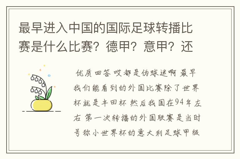 最早进入中国的国际足球转播比赛是什么比赛?德甲?意甲?还是欧洲杯?