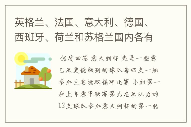 英格兰、法国、意大利、德国、西班牙、荷兰和苏格兰国内各有什么杯赛?