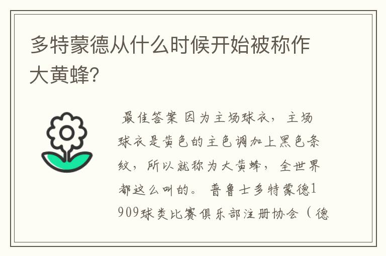 多特蒙德从什么时候开始被称作大黄蜂?