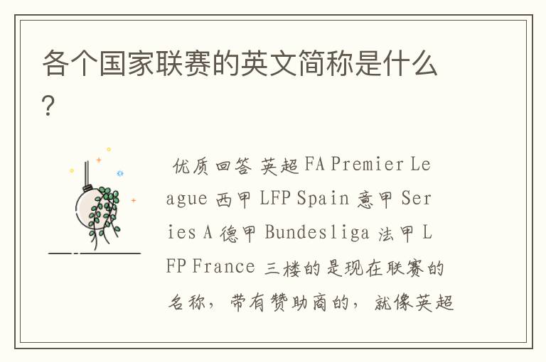 各个国家联赛的英文简称是什么?