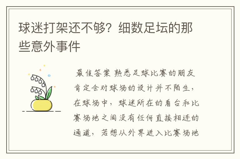 球迷打架还不够?细数足坛的那些意外事件