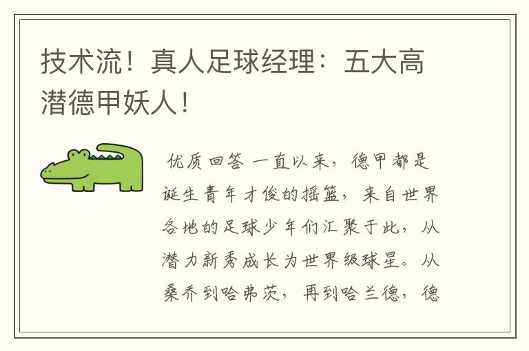 技术流!真人足球经理:五大高潜德甲妖人!