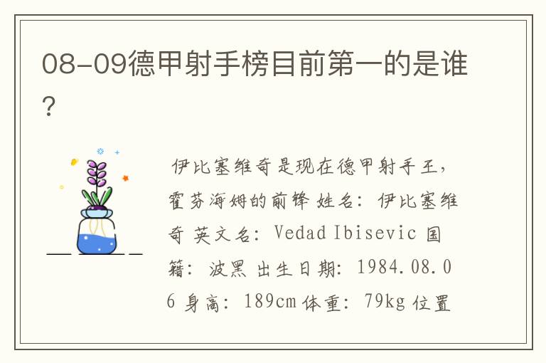 08-09德甲射手榜目前第一的是谁?