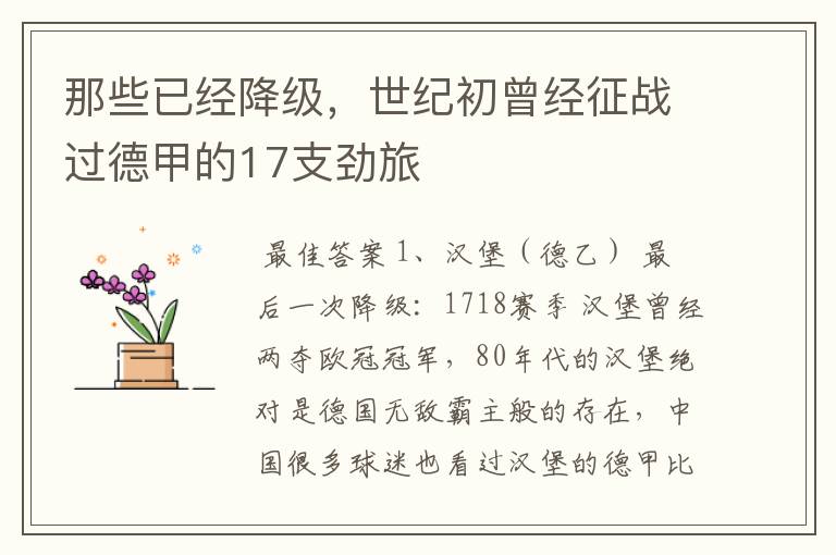 那些已经降级,世纪初曾经征战过德甲的17支劲旅