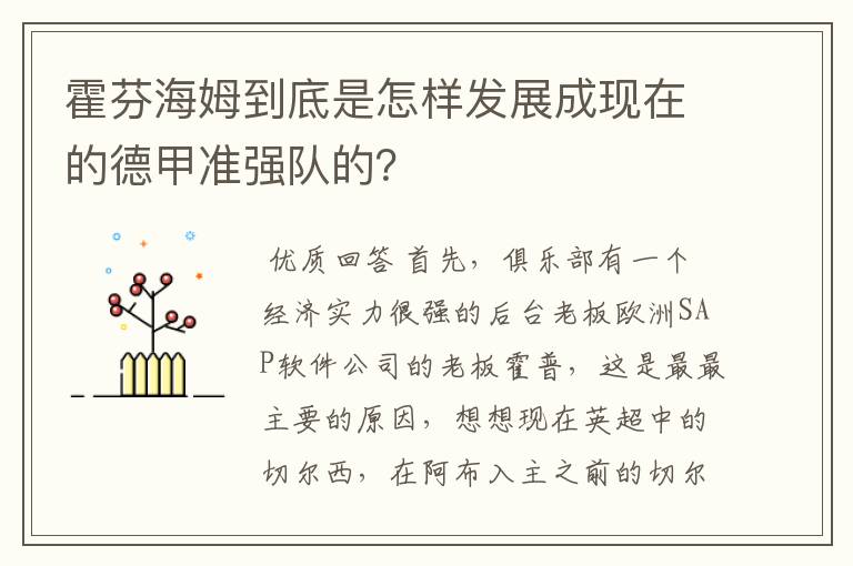 霍芬海姆到底是怎样发展成现在的德甲准强队的?