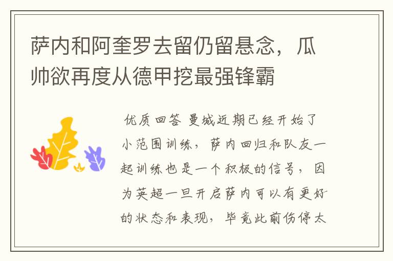 萨内和阿奎罗去留仍留悬念,瓜帅欲再度从德甲挖最强锋霸