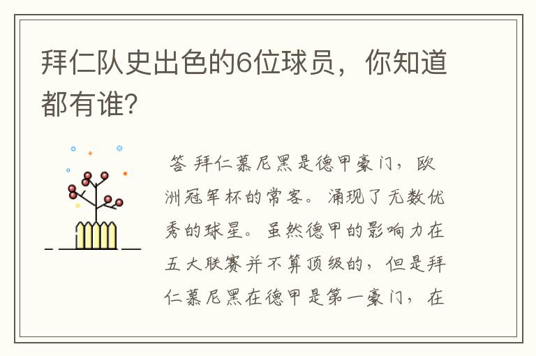 拜仁队史出色的6位球员,你知道都有谁?
