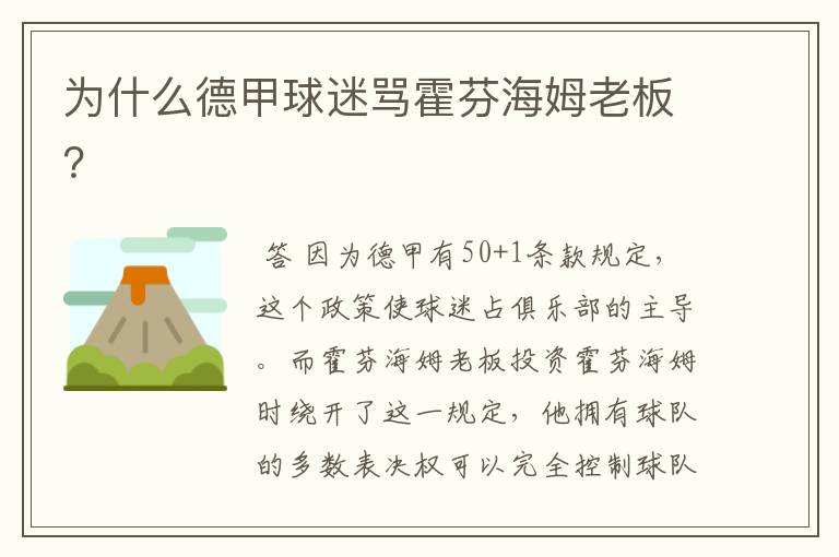 为什么德甲球迷骂霍芬海姆老板?