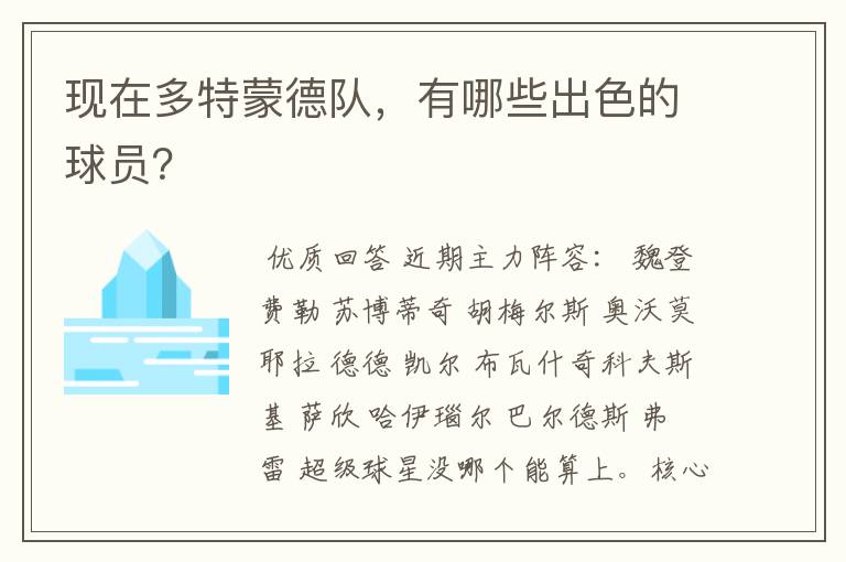 现在多特蒙德队,有哪些出色的球员?